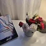 Apartment Otium Pirovac