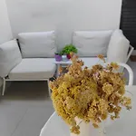 Otium פירובאץ