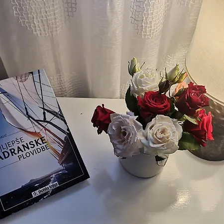 Apartment Otium Pirovac