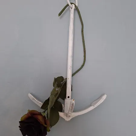 Apartmán Otium Pirovac