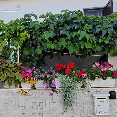 Otium Apartment