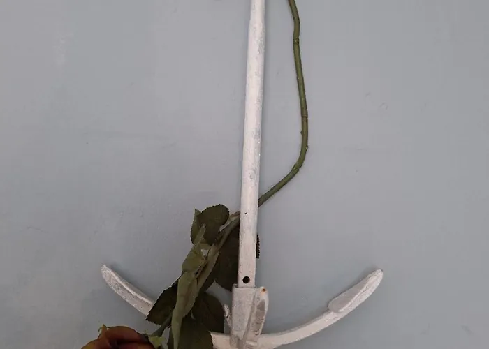 דירה Otium פירובאץ